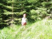 Червона Шапочка