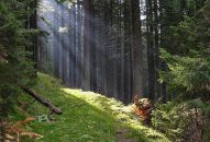 Дорога на г. Синяк