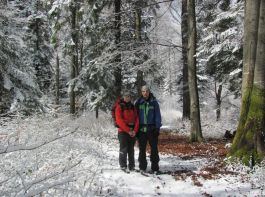 Негровец-Синевир. "Желтый маркер"
