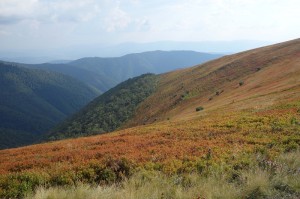 yoga-pohod-v-karpati-chernika-borjava